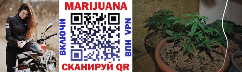 Наркошоп Нолинск СК Псилоцибиновые грибы МЕФ Марихуана ГАШИШ COCAIN