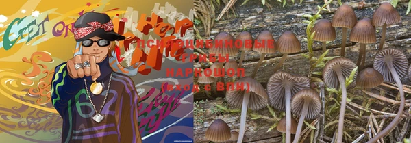 стафф Балабаново