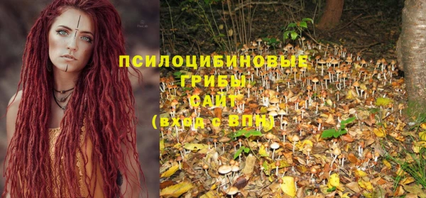 крисы Кукмор
