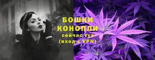 spice Аркадак