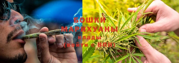spice Аркадак