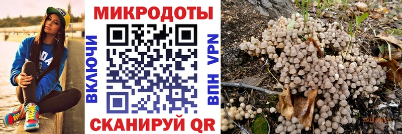 Псилоцибиновые грибы Magic Shrooms  мега ONION  Нолинск 